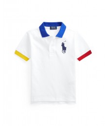 Polo Ralph Lauren White With Colored Arm Band And Collar Polo Shirt